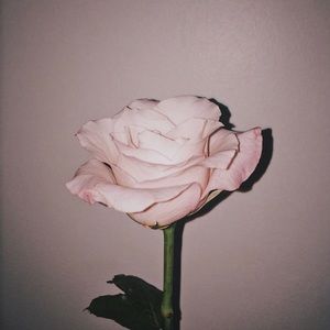 Meet your Posher, Paola